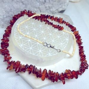 Vintage Native Natural Amber & Heishi Beaded Necklace